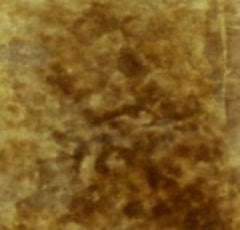 Buckskin