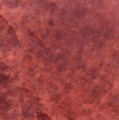 Aqua Stain UV Rust colored