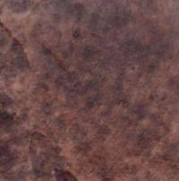 Aqua Stain UV Sequoia colored
