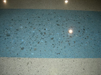 Blue Poppy dyed floor