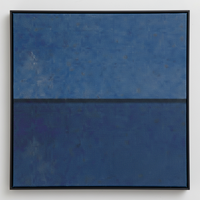 Clemons Super Dye for Interior in  Blue Poppy color 