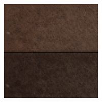 Clemons Super Dye for Interior in  Cola color  
