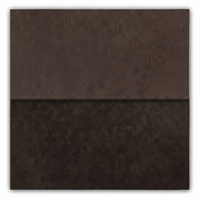 Clemons Super Dye for Interior in  Root Beer color  