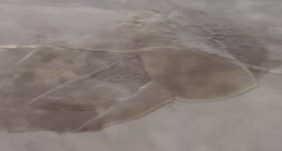 Light beige Sealer stripper on a floor