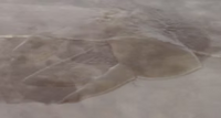 Light beige Sealer stripper on a floor
