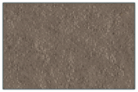Autumn colored super sealer stain