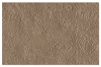 Desert Tan colored super sealer stain