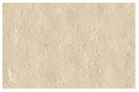 Harvest colored super sealer stain