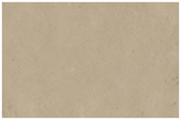Sun Buff colored super sealer stain